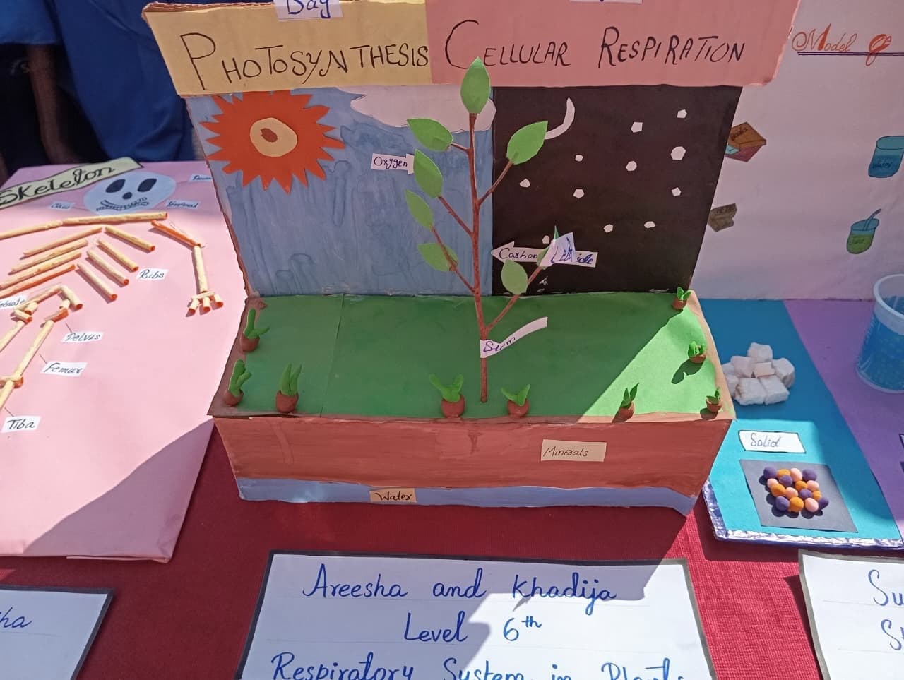 Science Exhibition gallery 3